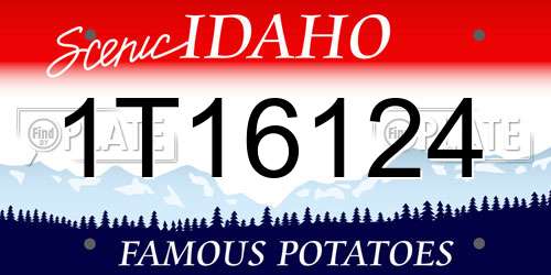 1T16124 Idaho License Plate
