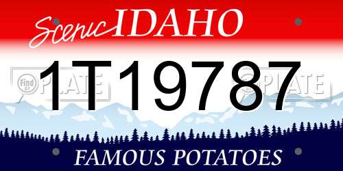 1T19787 Idaho License Plate