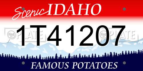 1T41207 Idaho License Plate