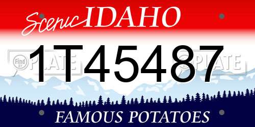 1T45487 Idaho License Plate