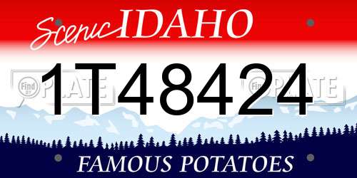 1T48424 Idaho License Plate