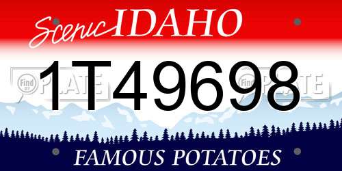 1T49698 Idaho License Plate