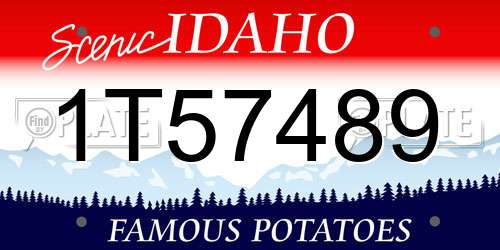 1T57489 Idaho License Plate