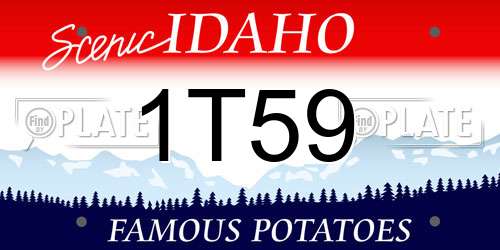 1T59 Idaho License Plate