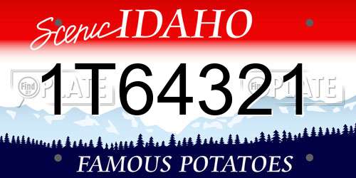 1T64321 Idaho License Plate
