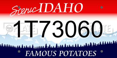 1T73060 Idaho License Plate