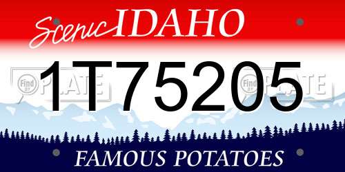 1T75205 Idaho License Plate