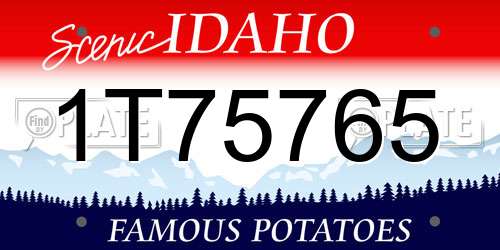 1T75765 Idaho License Plate