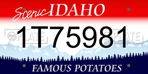 1T75981 Idaho License Plate