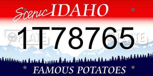 1T78765 Idaho License Plate
