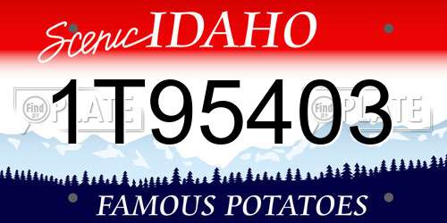 1T95403 Idaho License Plate