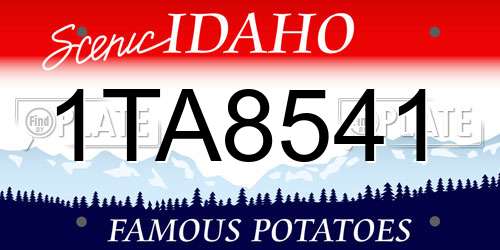1TA8541 Idaho License Plate