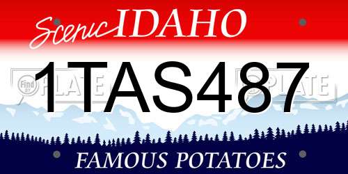 1TAS487 Idaho License Plate