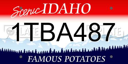 1TBA487 Idaho License Plate