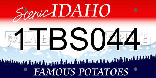 1TBS044 Idaho License Plate