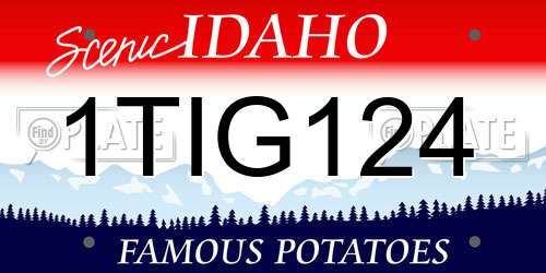 1TIG124 Idaho License Plate