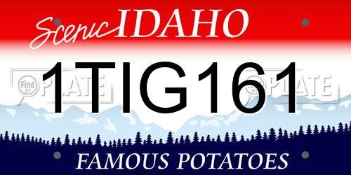 1TIG161 Idaho License Plate