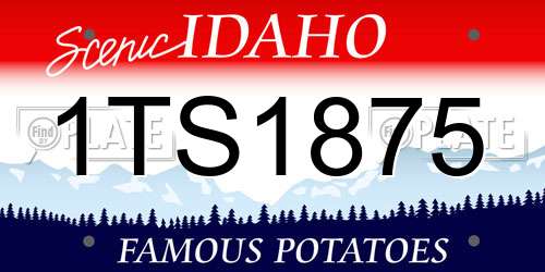 1TS1875 Idaho License Plate