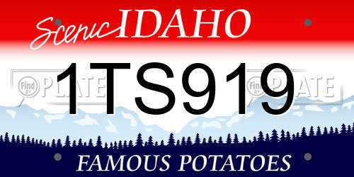 1TS919 Idaho License Plate