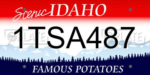 1TSA487 Idaho License Plate
