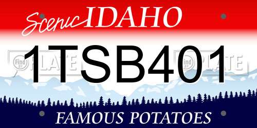 1TSB401 Idaho License Plate