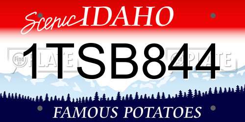 1TSB844 Idaho License Plate