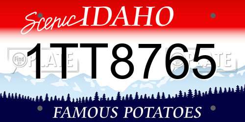 1TT8765 Idaho License Plate