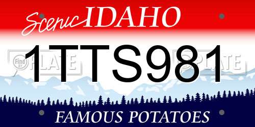 1TTS981 Idaho License Plate