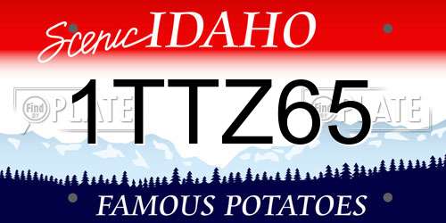 1TTZ65 Idaho License Plate