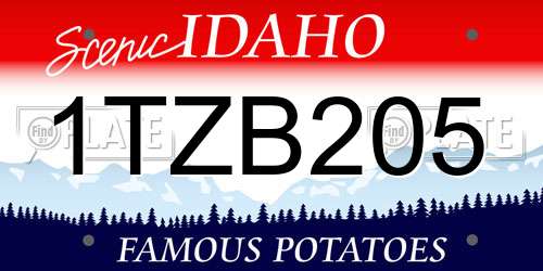 1TZB205 Idaho License Plate