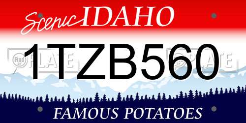 1TZB560 Idaho License Plate