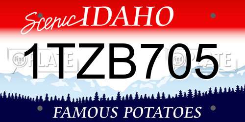 1TZB705 Idaho License Plate