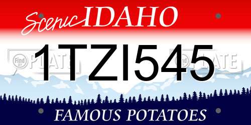 1TZI545 Idaho License Plate