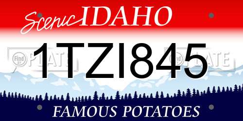 1TZI845 Idaho License Plate