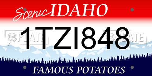 1TZI848 Idaho License Plate