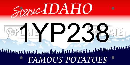 1YP238 Idaho License Plate