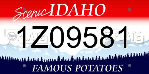 1Z09581 Idaho License Plate