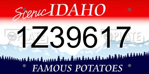 1Z39617 Idaho License Plate