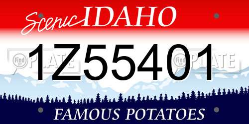 1Z55401 Idaho License Plate