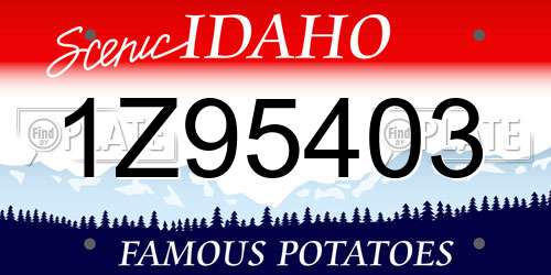 1Z95403 Idaho License Plate