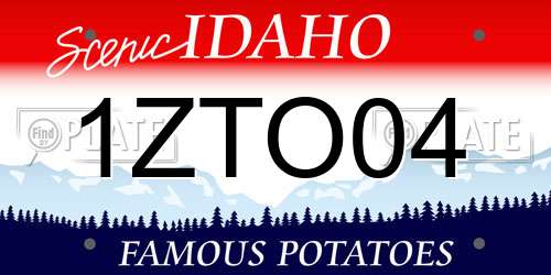 1ZTO04 Idaho License Plate