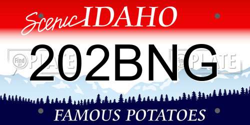 202BNG Idaho License Plate