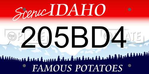 205BD4 Idaho License Plate