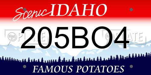 205BO4 Idaho License Plate