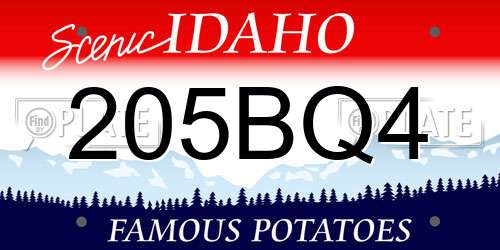 205BQ4 Idaho License Plate