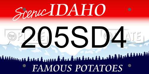 205SD4 Idaho License Plate