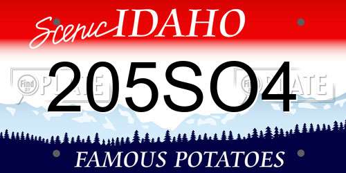 205SO4 Idaho License Plate