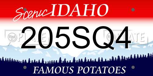 205SQ4 Idaho License Plate