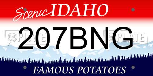207BNG Idaho License Plate