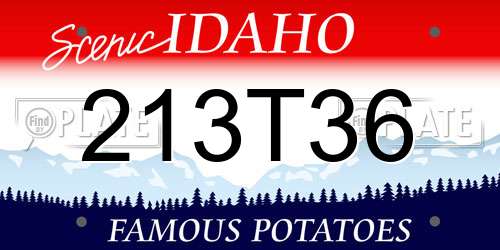 213T36 Idaho License Plate